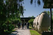 Visit Casa Vigil -El Enemigo + Laur Olive Company