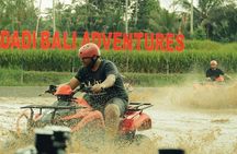 Ubud ATV Quad Bike and Mount Batur Sunrise Jeep Combo