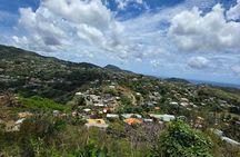 South Grenada Discovery Tour