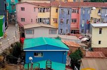 Half a Day Walking Tour with a local Valparaíso Tour Guide