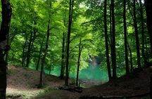 Hidden Garanohur Lake: Full-Day Guided Forest Hike from Baku