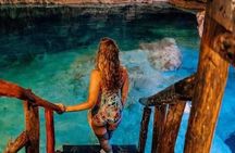 Wildlife rescue & hidden cenote experience