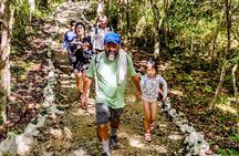 Wildlife rescue & hidden cenote experience