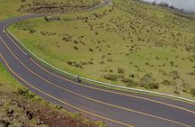 Guided Haleakalā Downhill Bike Tour with Maui Sunriders