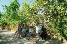 From Da Nang: Hue’s Imperial City and Citrus Villages with Lunch