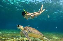 Snorkeling in Palancar, Turtles, Sky and Sky in Cozumel