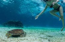 Snorkeling in Palancar, Turtles, Sky and Sky in Cozumel