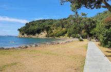 Private Auckland North Eastern Coast Tour