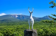 Jeju Round Island Grand Highlights