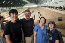 Xi'an Terracotta Warriors Half Day Tour with Guide and Transfer