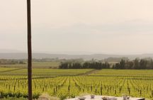 EBike Tour with Wine Tasting in Costa Brava Vineyards