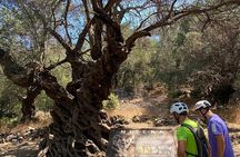 Guided EBike Adventure and Olive Oil Tasting in Corfu