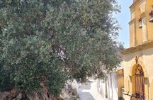 Guided EBike Adventure and Olive Oil Tasting in Corfu