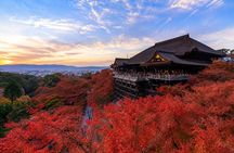 1 Day Kyoto UNESCO World Heritage Sites Bus Tour