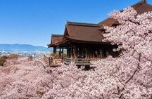 1 Day Kyoto UNESCO World Heritage Sites Bus Tour