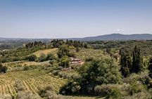 San Gimignano, Siena, Monteriggioni, Chianti Day Trip with Lunch