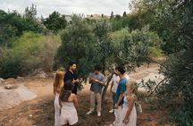 Athens: Guided Olive Oil Tour with Tasting & Snacks