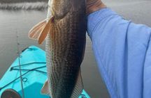 Guided Fishing Adventure in Amelia and Talbot Islands