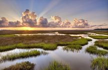 Guided Fishing Adventure in Amelia and Talbot Islands