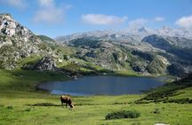 Excursion to the Lakes of Covadonga Cangas de Onís Small Group