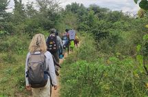 5-Day Private Omo Valley Cultural Expedition|Arba Minch to Jinka