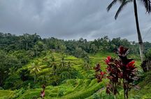 Customizable 10 Hour Private Bali Customizable Tour with Driver