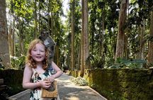 Customizable 10 Hour Private Bali Customizable Tour with Driver