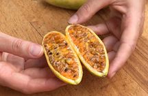 Puerto Plata Tropical Fruit Tasting Tour with Local Guide