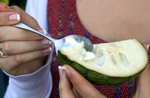 Puerto Plata Tropical Fruit Tasting Tour with Local Guide