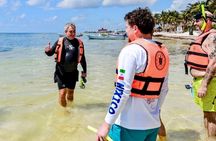 Tulum ruins, sea turtles & gourmet lunch