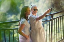 Springbrook Waterfalls & Natural Bridge Tour from Gold Coast