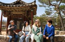 Seoul Full Day Tour with a Local: 100% Personalized & Private