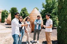 Toledo Walking Tour and Wine Tasting Experience