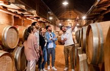 Toledo Walking Tour and Wine Tasting Experience