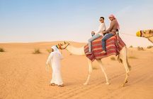 Vip Red Dune 4x4 Safari Camel Ride and Quad Bike