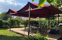 Private Organic Local Food Tasting Near Riga Central Market