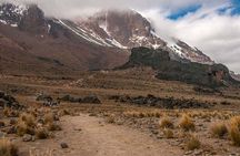 Mountain Kilimanjaro Trekking 7 Days Lemosho Route