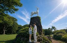 Jeju Round Island Grand Highlights