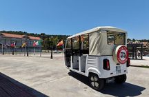 Caretta Caretta Highlights Tour Of Argostoli