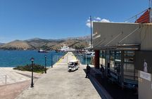 Caretta Caretta Highlights Tour Of Argostoli