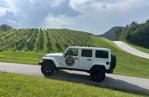 Private Dahlonega Winery and Waterfall Tour by Jeep