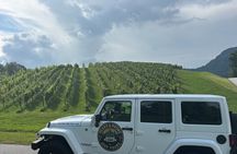 Private Dahlonega Winery and Waterfall Tour by Jeep