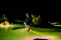 Night Mangrove Kayak Tour