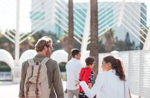 City of Arts and Sciences Tour with Private Wine and Beer Tasting
