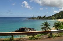 Private/Semi-Private Circle Island Tour (Lunch/Snorkel included)