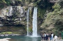 [For Cruise Guest]Jeju UNESCO Tour from Gangjeong Cruise Terminal