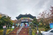[For Cruise Guest]Jeju UNESCO Tour from Gangjeong Cruise Terminal