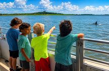 2 Hours Dolphin Eco Tour
