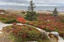 Private Tour from Halifax Peggy Cove and Lunenburg