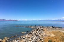 Great Salt Lake 2-Hour Guided Minibus Tour from Salt Lake City